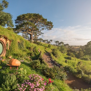 Hobbit home in the daylight